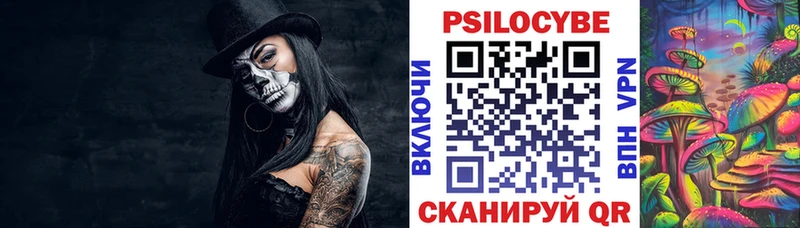 mega зеркало  купить наркотик  Шарья  Псилоцибиновые грибы Psilocybine cubensis 