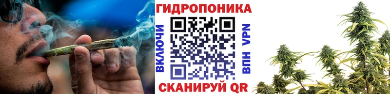 Бошки Шишки сатива Шарья